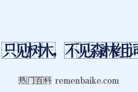 只见树木，不见森林组词是什么意思的图片